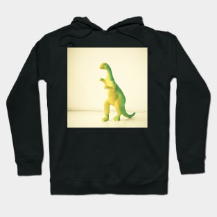 Dinosaur Attack Hoodie